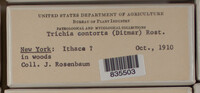 Image Associated With the Occurence